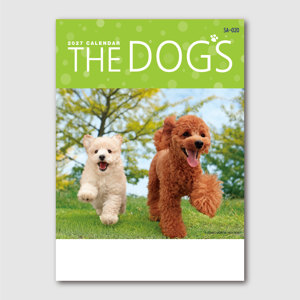 THE DOG'S(ザ･ドッグス)　SA20